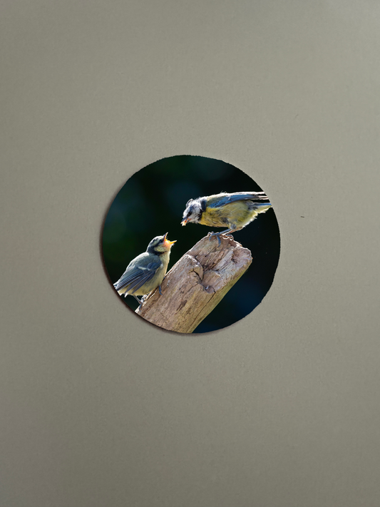 Personalised Fridge Magnet - Round