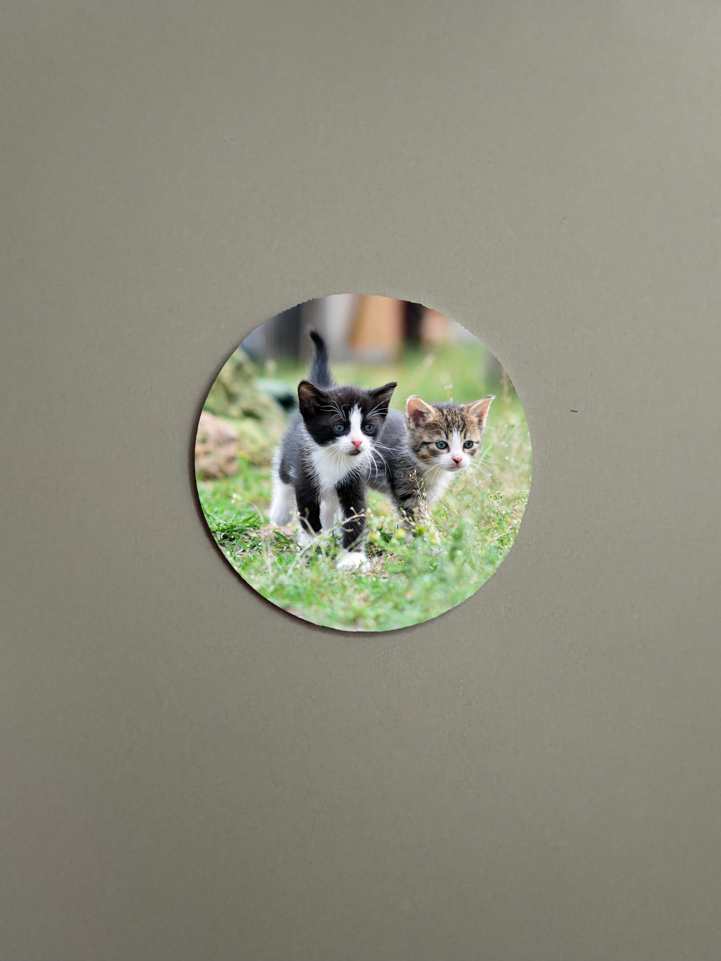 Personalised Fridge Magnet - Round