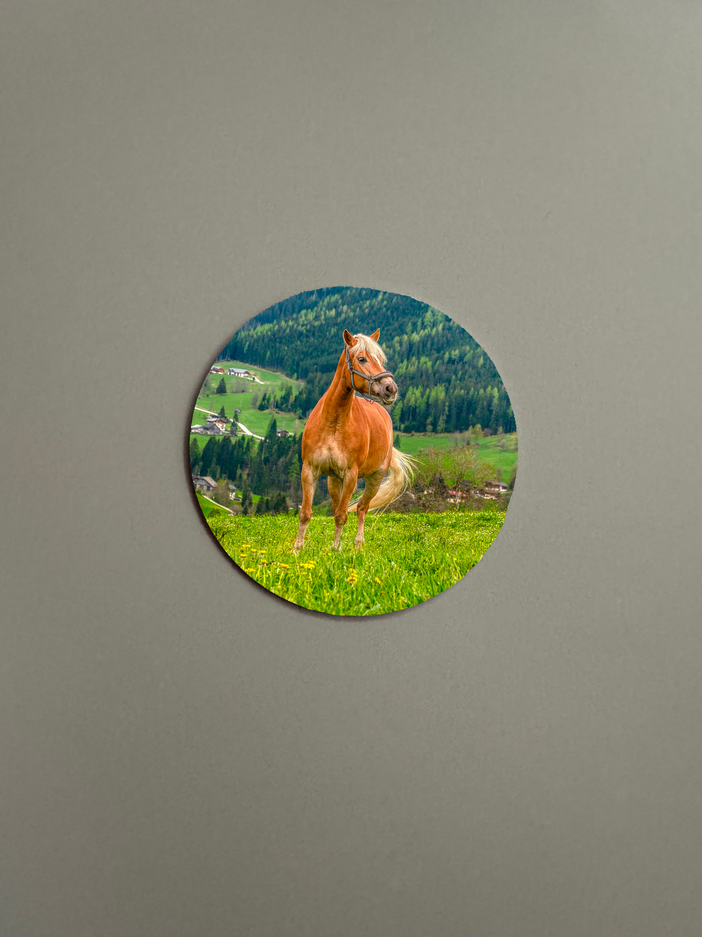 Personalised Fridge Magnet - Round