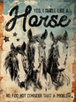 Retro Style "Yes I Smell Like A Horse" Decorative Vintage Metal Sign, New